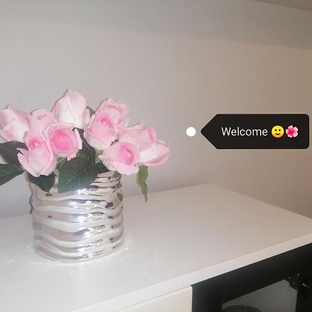 Apartment Vera, 80 M From The Sea Novigrad Istria 외부 사진